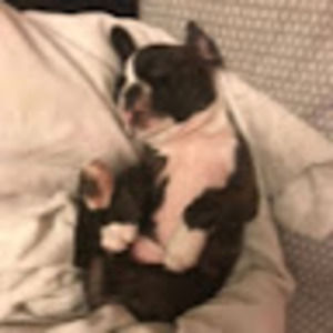 Meet your Posher, Emma